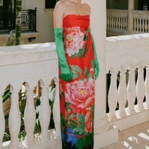 NWT Zara Floral Maxi Gown